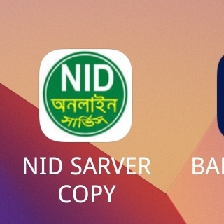 BD NID Server copy
